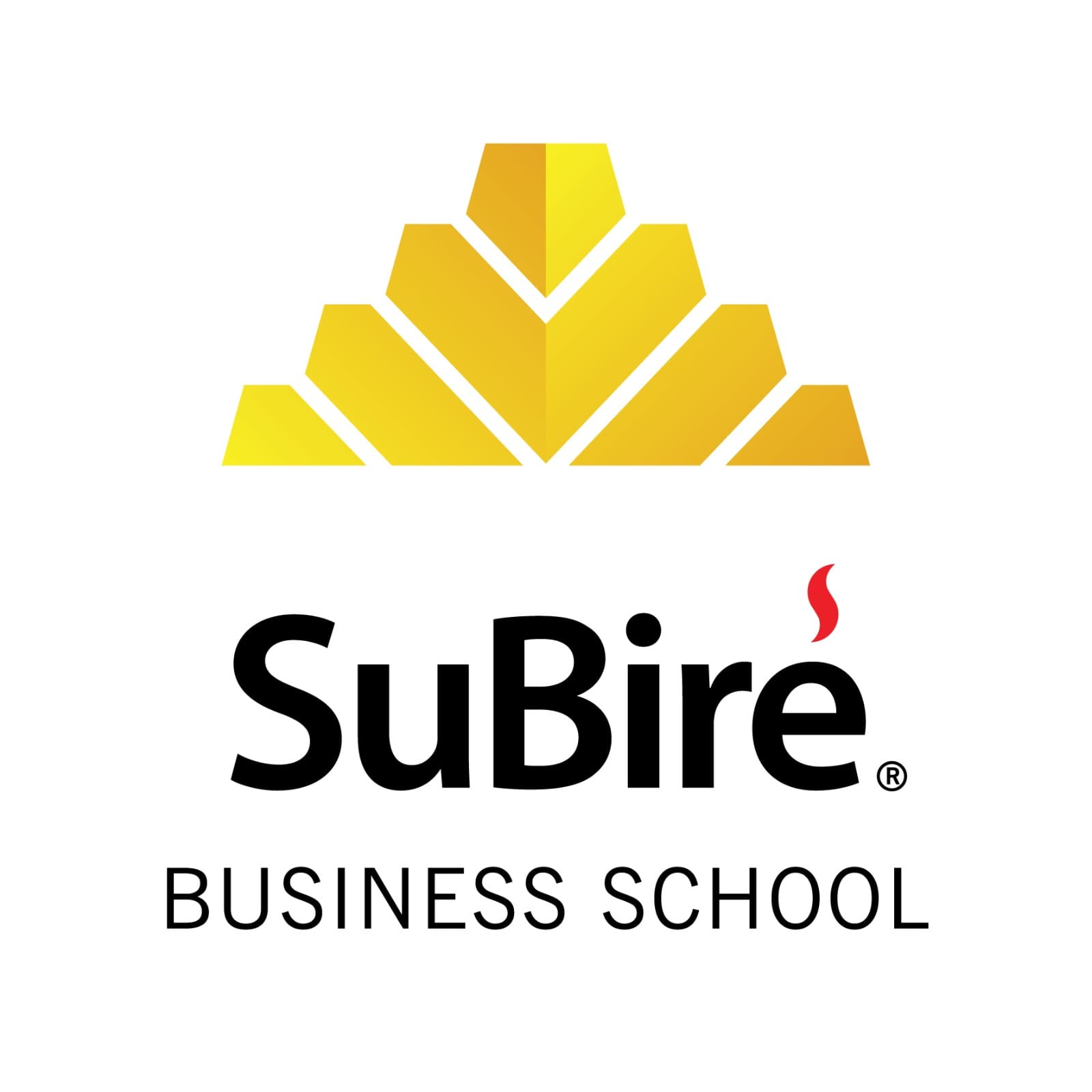 subire business school leon logo